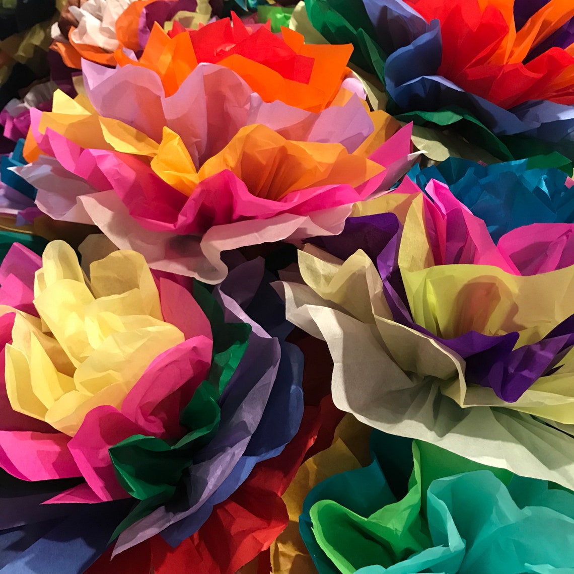 Mexican Paper Flowers Photo Wall Tissue Pom Poms Multicolor Etsy