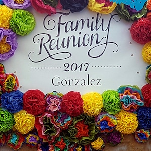Tissue Mexican Paper Flowers Photo Wall Tissue Pom Poms - Set of 20 - Wedding Decorations