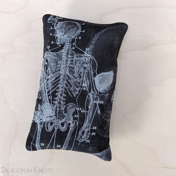 Anatomy Travel-sized Tissue Holder - male skeleton, white on dark grey pocket tissue case