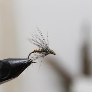 soft hackle