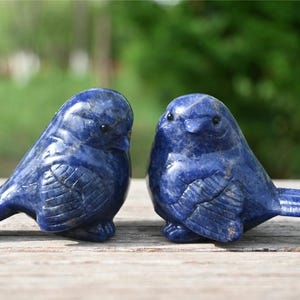 2.6&#39;&#39;Natural Hand carved Sodalite Bird,Quartz crystal,Crystal Bird carved,Home decor,Crystal gift,Crystal healing