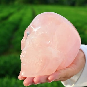 4&#39;&#39; Rose quartz Skull,Natural Quartz crystal skull,Crystal skull carved,Crystal gift