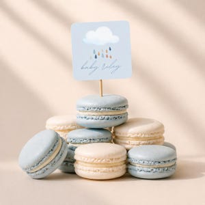 May include: A stack of pastel-colored macarons, some light blue and some cream-colored, are arranged in a pile. A small sign with a cloud and raindrops illustration and the text "baby riley" is placed on top of the macarons.