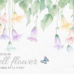 11 imágenes prediseñadas de flores de campana en acuarela, flores de campana PNG, flores pastel PNG, campanillas PNG, imágenes prediseñadas florales caprichosas, imágenes prediseñadas de flores de campana en colores pastel