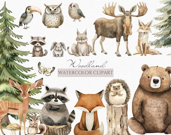 Aquarell Waldtiere Clipart Bundle - Digital Download - Kinderzimmer Waldtiere Clipart - Baby-Dusche Clipart - Wald Clipart Set