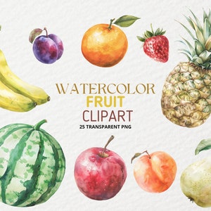 Aquarell Obst Clipart Bundle - Obst Clipart - Obst PNG - 25 Aquarell Früchte PNG - Apfel, Erdbeere, Kirsche, Zitrone - Kommerzielle Nutzung