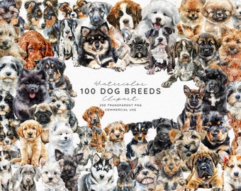 Clipart hond, aquarel puppy clipart, 100 hondenrassen bundel, 200 png, schattige hondenras illustratie, huisdieren clipart, sublimatie commercieel gebruik