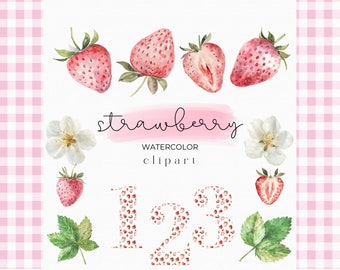 Watercolor Strawberry Clipart - Strawberry PNG -  Gingham | Strawberry Seamless Pattern - Fruit Clipart - Strawberry Invitation Clipart
