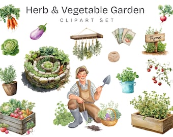 Watercolor Herb Garden Clipart: Raised Bed PNG, Farm Botanical Graphics (Digital Download)