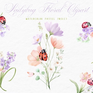 Clipart di coccinella ad acquerello, clipart di coccinella dell'amore, clipart di primavera, clipart di insetto primaverile, coccinella carina, acquerello di coccinella floreale, PNG trasparente