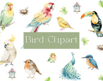Watercolor Bird Clipart, Bird PNG, Bird Clipart, Beardhouse, Watercolor Bird Illustration, Birds Clipart, Transparent PNG, Commercial Use