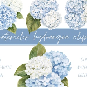 Watercolor Blue Hydrangea Flower Clipart - Hydrangea Clip Art - Hydrangea Print - Wedding Floral Png - Wedding Flowers - Commercial Use PNG
