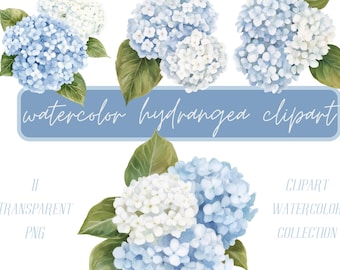 Watercolor Blue Hydrangea Flower Clipart - Hydrangea Clip Art - Hydrangea Print - Wedding Floral Png - Wedding Flowers - Commercial Use PNG