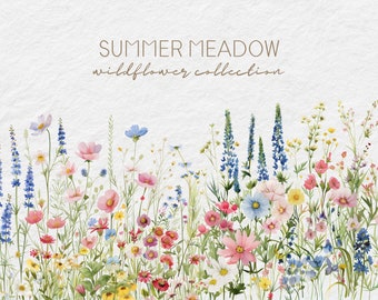 Watercolor Wildflower Clipart - Wildflower Border Set Clipart - Wildflower Meadow Clipart PNG - Meadow Flowers - Summer Flowers - Scrapbook