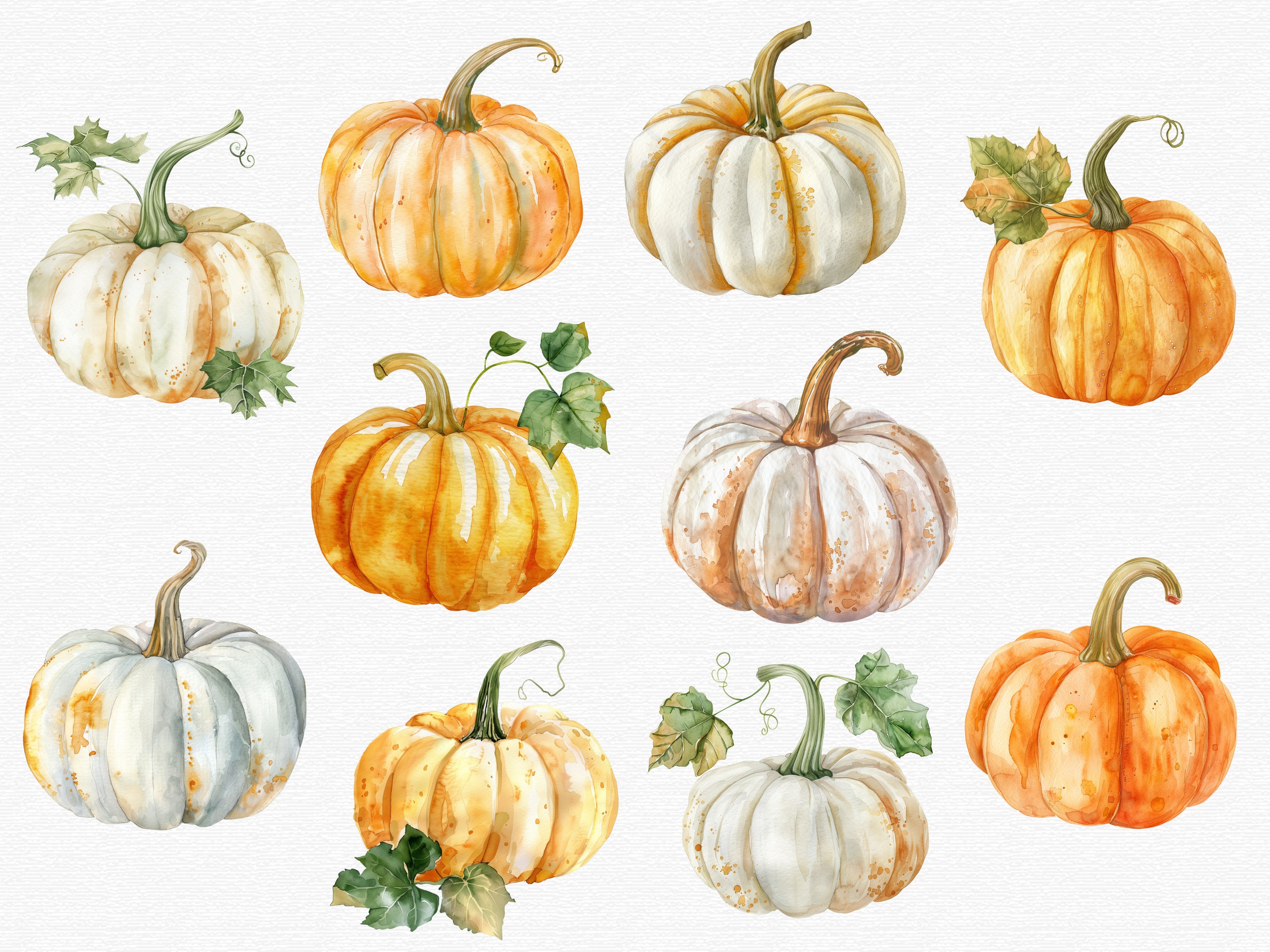 Watercolor Pumpkin Clipart, Autumn Clipart, Halloween Clipart PNG, Fall ...