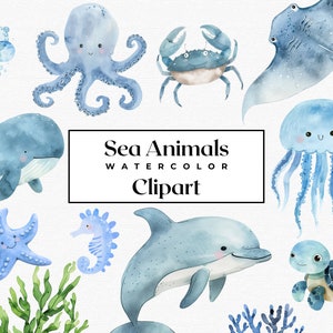 Zeedieren clipart, kleine zeedieren clipart, onderzeese aquarel, schattige oceaandieren png, zeedieren clipart, onder de zee clipart png
