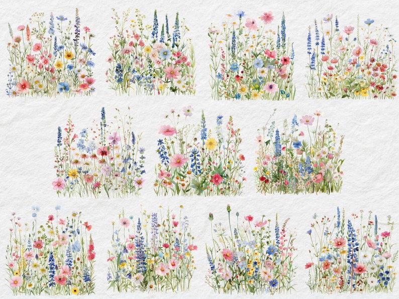 Watercolor Wildflower Clipart - Wildflower Border Set Clipart ...