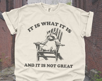Vintage 90s Funny Racoon TShirt | Retro Oversized Y2K Humor Meme Shirt, Trendy Cute Boho Trashcore Tee, Raccoon Gifts, Trashy T-Shirt Womens