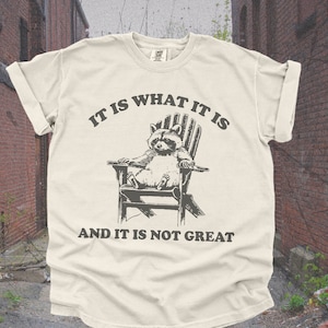Vintage 90-tals rolig tvättbjörn-t-shirt | Retro överdimensionerad Y2K-humor meme-tröja, trendig söt boho trashcore-tröja, tvättbjörnspresenter, trashy t-shirt dam