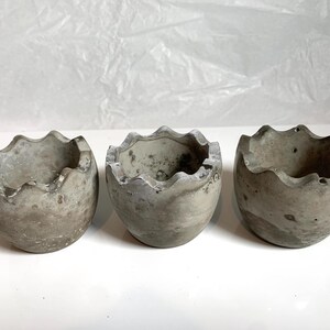 May include: Three grey concrete egg-shaped planters with a rough, textured surface. The planters are empty and ready for planting.