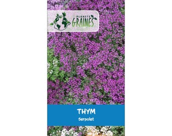 Lot de 100/200/1000 Graines de Thym Serpolet - Thymus serpyllum