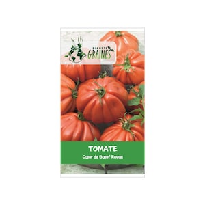 graines de tomate cœur de bœuf -  forme de cœur  -  légume - tomate - semence reproductible .