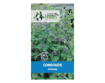 10/20/50 /100 graines de consoude - comfrey -  Symphytum - Herbe aux coupure - herbes aromatiques