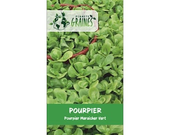 200/400/600 /1000  graines de pourpier vert - purslane- legume- herbe aromatique -