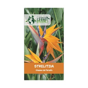 Peut inclure: Un sachet de graines avec une fleur d'oiseau de paradis aux pétales orange vif et aux accents bleus, sur fond de feuillage vert. Le paquet porte les inscriptions "STRELITZIA" et "Oiseaux de Paradis".