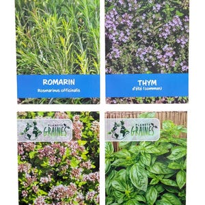 Peut inclure: Quatre paquets de graines d'herbes aromatiques : romarin, thym, origan et basilic. Chaque paquet présente une photo de la plante et le nom de l'herbe en français. La marque "PLANETE GRAINES" est en haut de chaque paquet.
