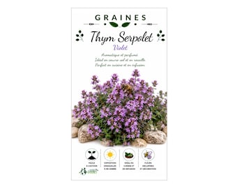 Lot de 100/200/1000 Graines de Thym Serpolet - Thymus serpyllum