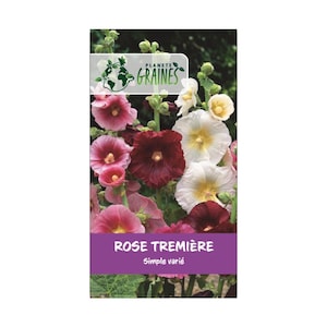 Lot de 100 Graines de Rose Tremiere simple variées - MIXTES