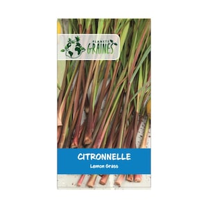 graines de citronnelle - lemongrass - Cymbopogon citratus  - anti moustique-  50/200/ 500/1000 graines