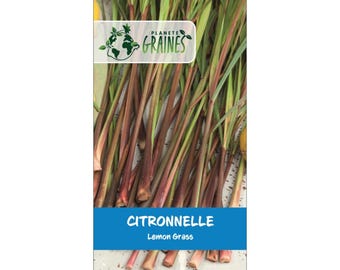 Calendrier De L'Avent Jardinier - 25 Sachets De Graines à Gratter - Aromates, Fleurs, Légumes - Cadeau Noël - 5