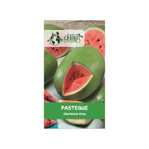 graines Pastèque Charleston Gray - Pastèque grise de Charleston - Citrullus lanatus - 20/ 40 /60GRAINES