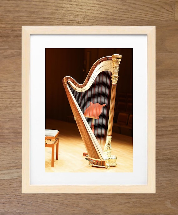 Harp Photography art printed with realistic look on hight quality. Musical Instrument Wall Decor. Unframed.