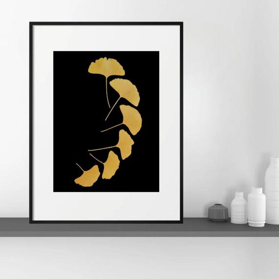 Fall Golden-Yelow Ginkgo Leaves On Black Background. Pressed Dried Real Leaves. Charming Nature Inspired Wall Art. Nature Indoors. 3 Options