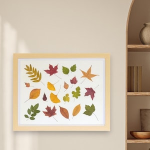 Pressed Colorful Tree Leaves Framed Art. Nature-Inspire Home Decor.  Real Dried Pressed Leaves. Perfect Gift for Nature Lovers!