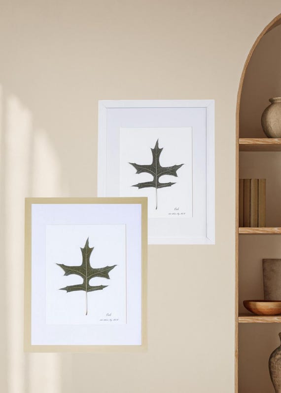 Framed Green Oak. Dried Pressed Real Leaves Art. Bring A Botanical Touch To Your Space With Natural Leaves. Perfect Gift! Classic Modern.