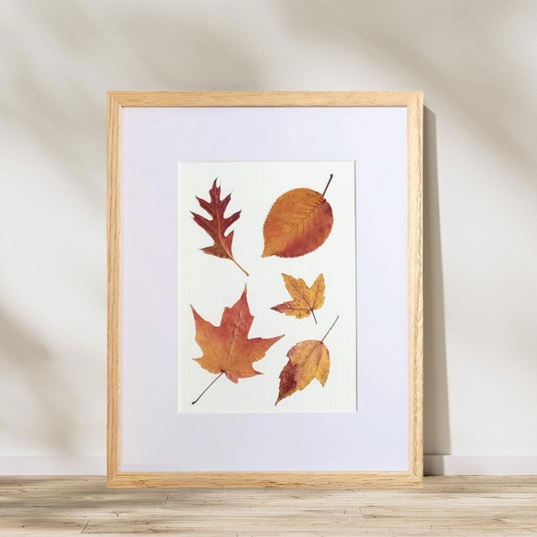 Framed Pressed Fall Leaves Art: Oak, Maple & Dogwood - Rustic Modern ...