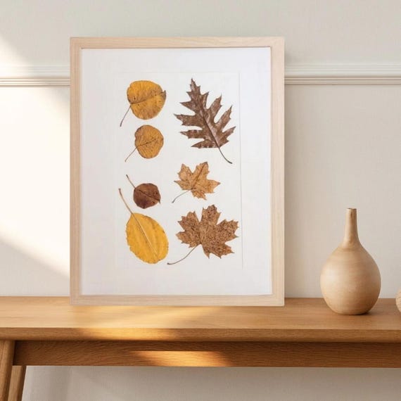 Maple, Oak And Different Types Of Tree Leaves. Dried Pressed Real Leaves. Fall Colors. Framed Botanical Art. Nature Indoors. Modern Rustic.