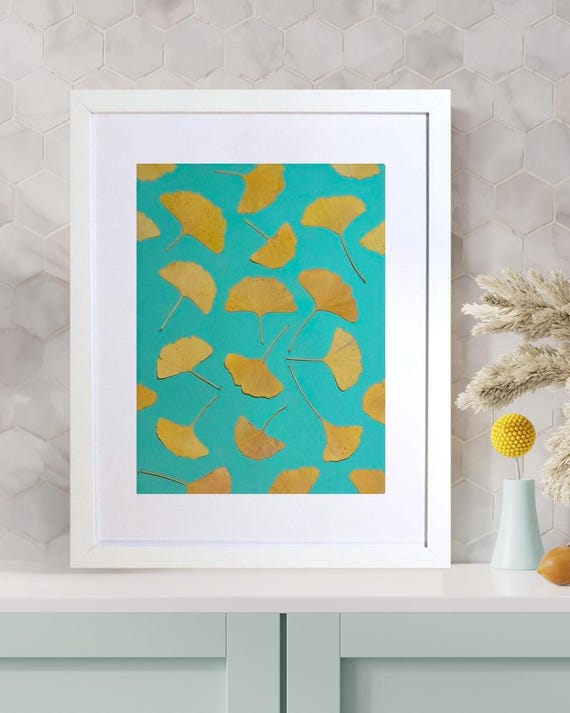 A White Frame Display Fall Gold-Yellow Ginkgo Leaves On Green Background. Dried Pressed Real Leaves. Nature Inspired Art For Adults or Kids.