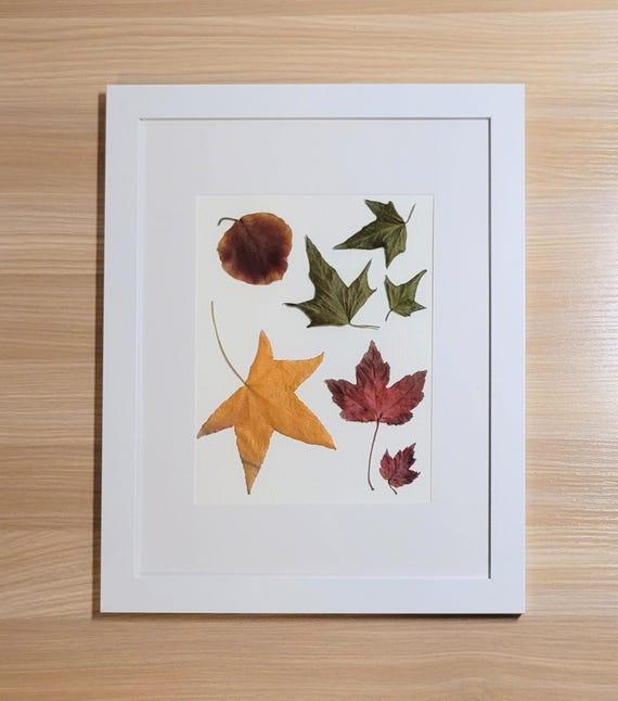 Colorful Leaves With Vibrant Shades Of Fall. Dried Pressed Real Leaves. Framed Botanical Art. Bringing Nature Indoors. Clean Modern.