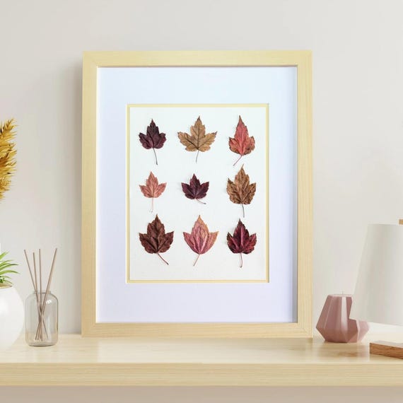 Little Maple Leaves Of Fall. Dried Pressed Real Leaves. The Nature In Your Home. Framed Botanical Art. Perfect Gift For Nature Lovers!