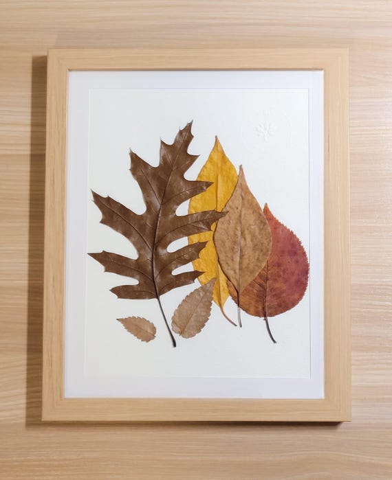 Overlapped Leaves With Rustic Shades Of Fall. Dried Pressed Real Leaves. Framed Botanical Art. Bringing Nature Inside! Modern Rustic.