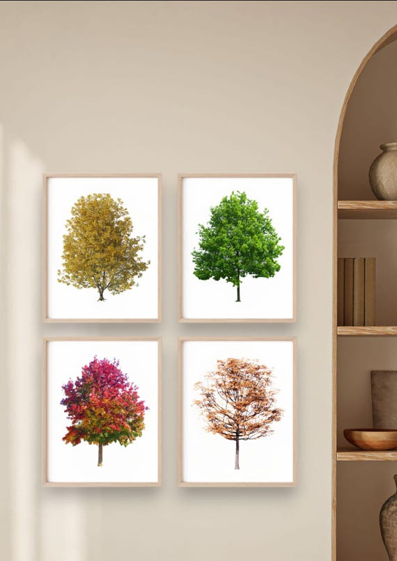 Set of Four Seasons Trees/All The Year Season (Spring, Summer, Fall and Winter) on Watercolor Matte Paper/Printed on Hight Quality/Unframed.