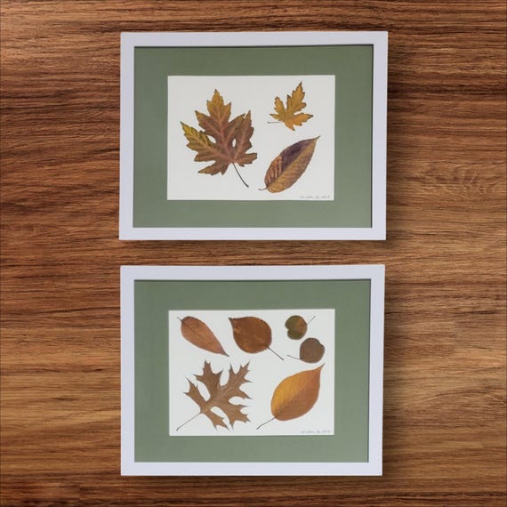 Different Types, Shapes and Shades Of Fall Leaves To Inspire Your Decorating. Pressed Dried Real Leaves Framed Botanical Art. Modern Rustic.