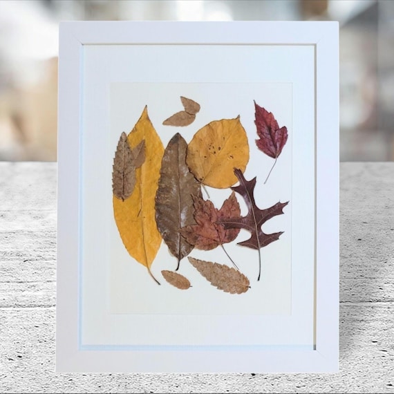 A White Frame Display Overlapping Fall Leaves. Pressed Dried Real Leaves Art. Rustic Does Not Have To Be Dark. Botanical Home Decor.