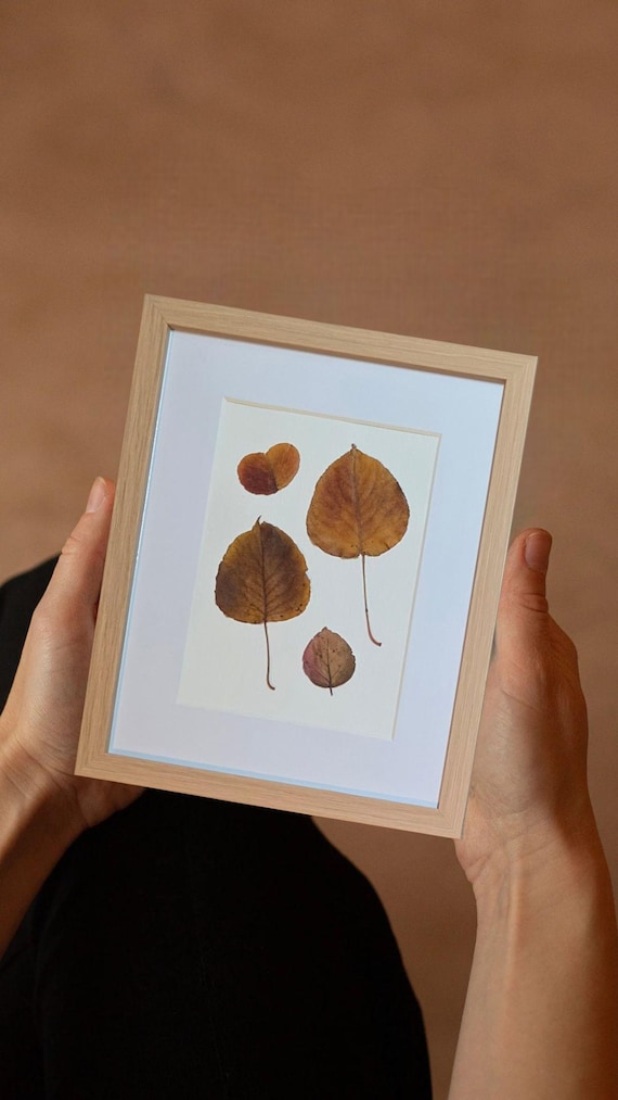 Aspen Leaves With Reddish-Brown Shades Of Fall. Dried Pressed Real Leaves Art. Creat A Natural, Warm Look With This Framed Rustic Art.
