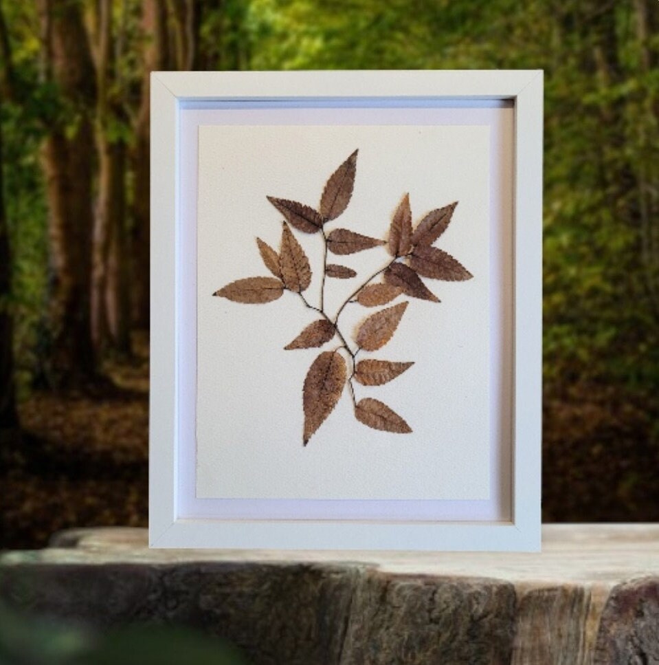 Real Brown Branches of Leaves in the Fall. Dried Pressed. Wall Art ...